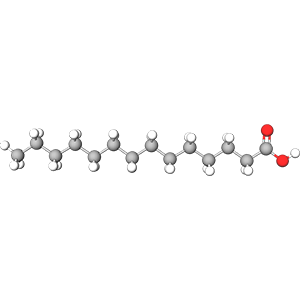 3D model image of Myristic Acid