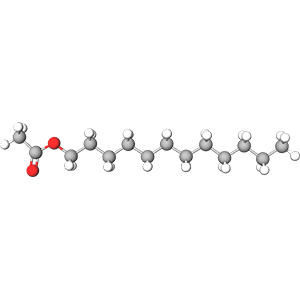 3D model image of Acetate C-12