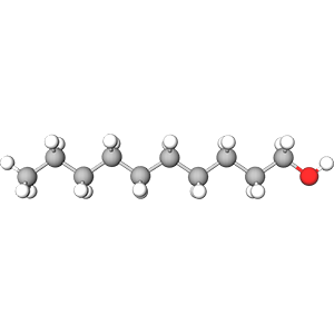 3D model image of Alcohol C-10