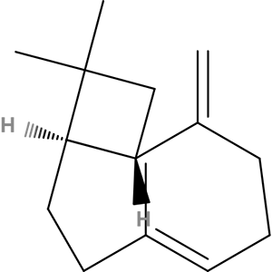 Structure formular image of beta-Caryophyllene