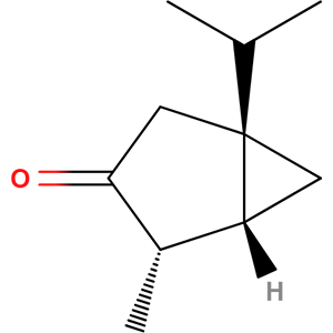 Structure formular image of beta-Thujone