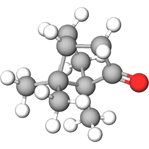 Camphor Fragrance Note