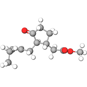 Methyl Jasmonate Fragrance Note