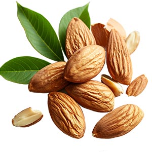 Photo Almond :: fragrance ingredients