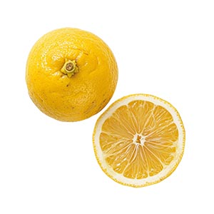 Photo Amalfi Lemon :: fragrance ingredients