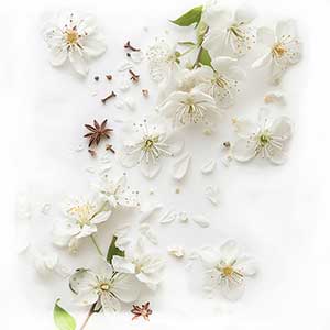 Photo Belanis :: fragrance ingredients