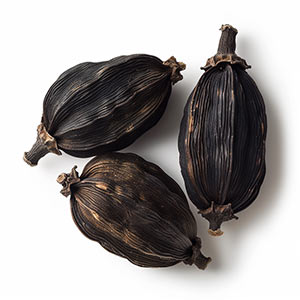 Photo Black Cardamom :: fragrance ingredients