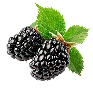 Blackberry as a Perfume Note Ingredient