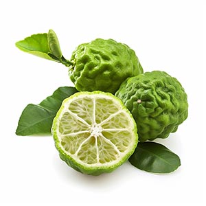 Photo Calabrian Bergamot :: fragrance ingredients