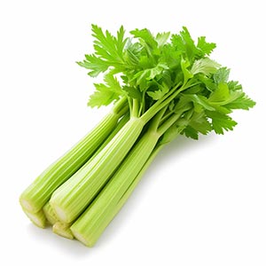 Photo Celery :: fragrance ingredients