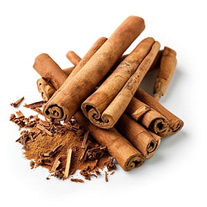 Photo Ceylon Cinnamon :: fragrance ingredients