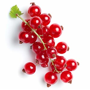 Photo Chinese Red Currant :: fragrance ingredients