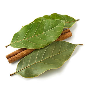 Photo Cinnamon Leaf :: fragrance ingredients