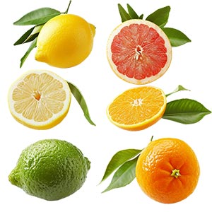 Photo Citrus Fruits :: fragrance ingredients