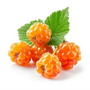 Photo Cloudberries :: fragrance ingredients