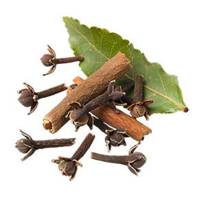 Photo Clove Leaf :: fragrance ingredients