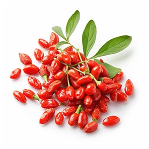 Photo Goji Berries :: fragrance ingredients