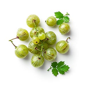 Photo Gooseberry :: fragrance ingredients