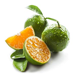 Photo Green Tangerine :: fragrance ingredients