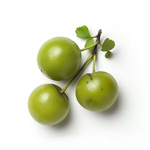 Photo Greengage :: fragrance ingredients