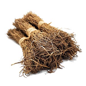 Photo Haitian Vetiver :: fragrance ingredients