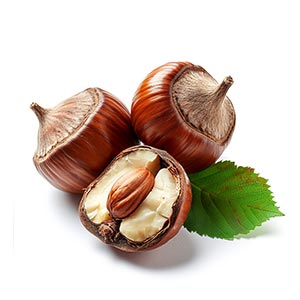 Hazelnut as a Perfume Note Ingredient