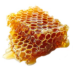 Honey as a Perfume Note Ingredient