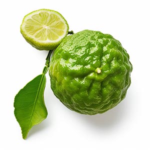 Photo Italian Bergamot :: fragrance ingredients