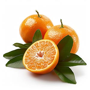 Photo Italian Mandarin :: fragrance ingredients