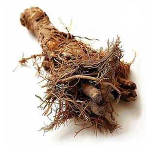 Photo Muskroot :: fragrance ingredients