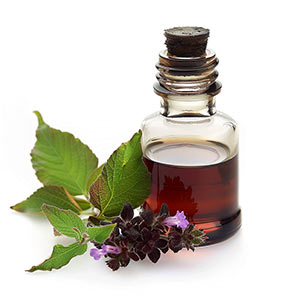 Photo Patchouli Oil :: fragrance ingredients