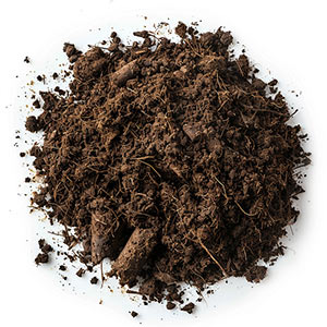 Photo Peat :: fragrance ingredients