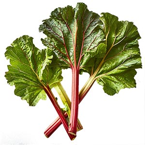 Photo Rhubarb Leaf :: fragrance ingredients