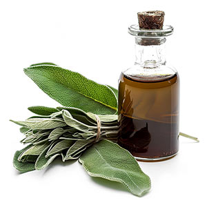 Photo Sage Absolute :: fragrance ingredients