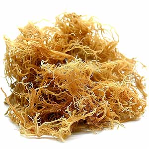 Photo Sea Moss :: fragrance ingredients