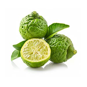 Photo Sicilian Bergamot :: fragrance ingredients