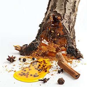 Photo Spiced Tree Resin :: fragrance ingredients