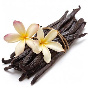 Photo Tahitian Vanilla :: fragrance ingredients