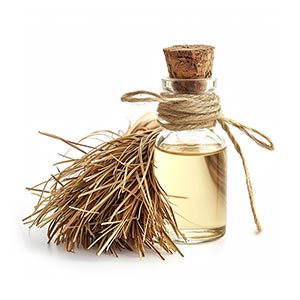 Photo Tahitian Vetiver :: fragrance ingredients