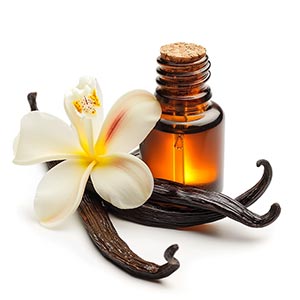 Photo Vanilla Absolute :: fragrance ingredients