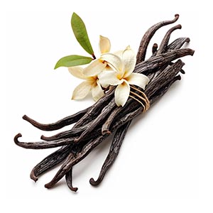 Vanilla in Relaxation & Comfort Perfumes