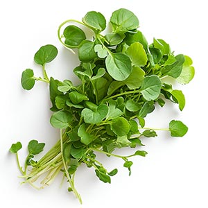 Photo Watercress :: fragrance ingredients