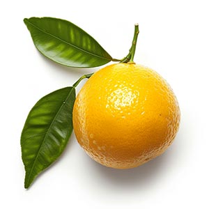 Photo Yellow Mandarin :: fragrance ingredients