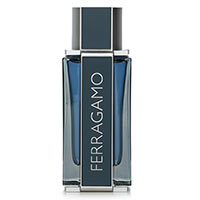 Intense Leather by Salvatore Ferragamo for Women and Men