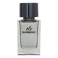 Mr. Burberry by Burberry for Men