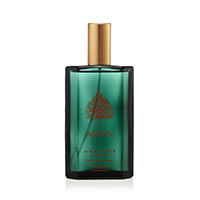 Aspen by Coty for Men