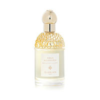 Aqua Allegoria Bergamote Calabria by Guerlain for Women