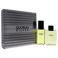 Quorum Silver by Puig for Men