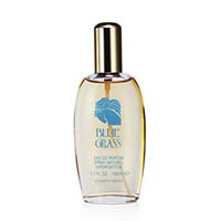 Blue Grass by Elizabeth Arden for Women