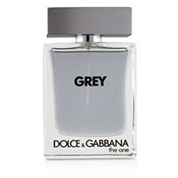 The One Grey by Dolce Gabbana for Men